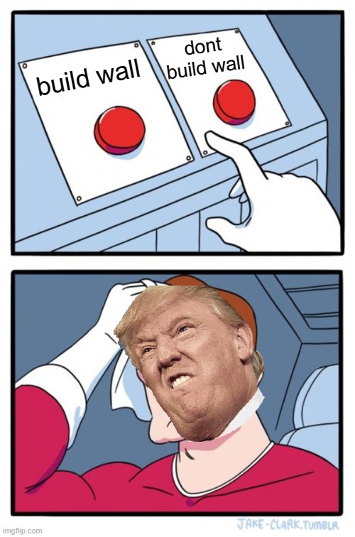 Two Buttons Meme | dont build wall; build wall | image tagged in memes,two buttons | made w/ Imgflip meme maker