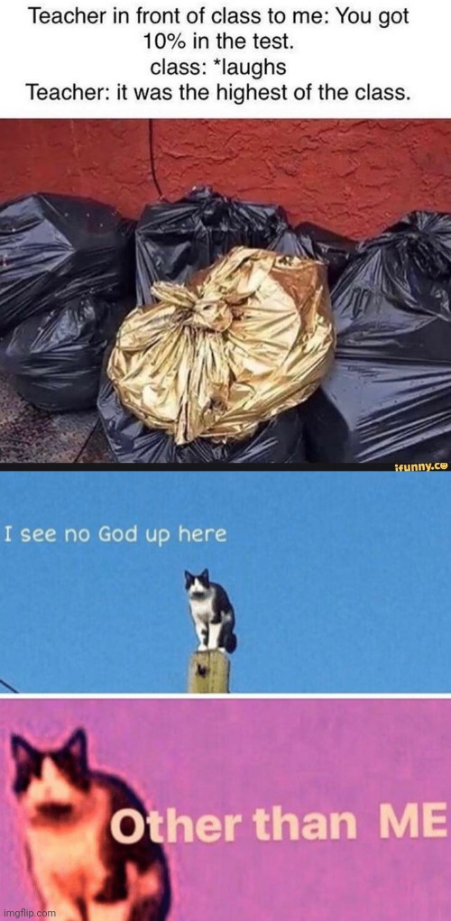 This kid is Golden trash | image tagged in hail pole cat,funny memes,memes | made w/ Imgflip meme maker