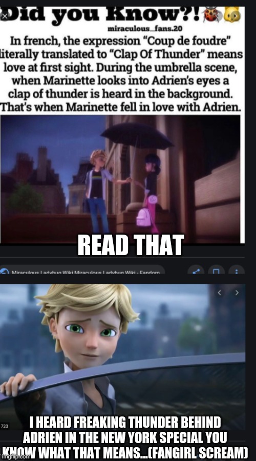 JUST A FRIEND IS NO MORE | READ THAT; I HEARD FREAKING THUNDER BEHIND ADRIEN IN THE NEW YORK SPECIAL YOU KNOW WHAT THAT MEANS...(FANGIRL SCREAM) | image tagged in fangirling,reeeeeeeeeeeeeeeeeeeeee,omggggggg,pls | made w/ Imgflip meme maker