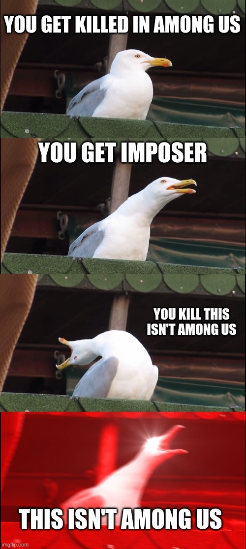 Inhaling Seagull | YOU GET KILLED IN AMONG US; YOU GET IMPOSER; YOU KILL THIS ISN'T AMONG US; THIS ISN'T AMONG US | image tagged in memes,inhaling seagull | made w/ Imgflip meme maker
