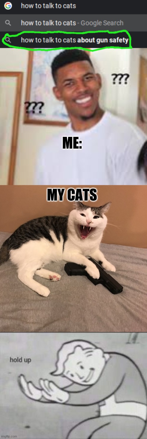 I dont need to... | ME:; MY CATS | image tagged in fallout hold up | made w/ Imgflip meme maker