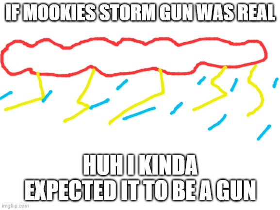 Blank White Template | IF MOOKIES STORM GUN WAS REAL; HUH I KINDA EXPECTED IT TO BE A GUN | image tagged in blank white template | made w/ Imgflip meme maker