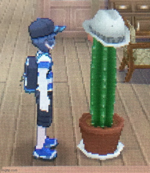 Forever Alone Pokemon Sun and Moon | image tagged in forever alone pokemon sun and moon | made w/ Imgflip meme maker