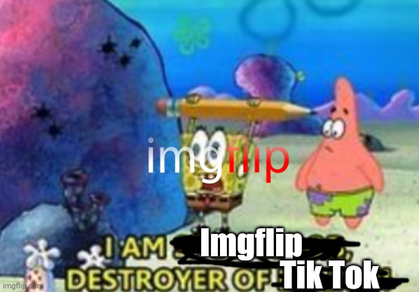 Destroyer of (blank) | Imgflip; Tik Tok | image tagged in destroyer of blank | made w/ Imgflip meme maker