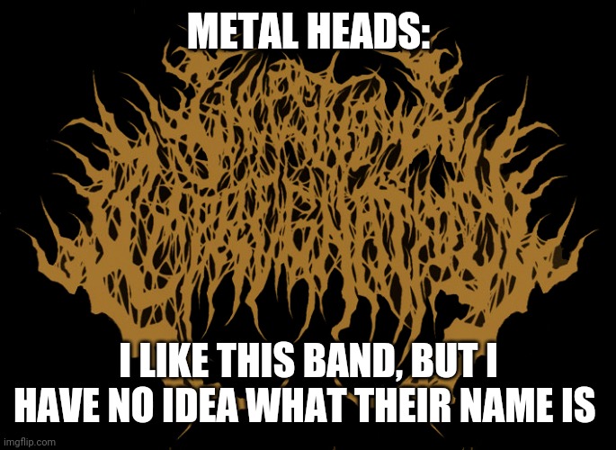 Politics and stuff | METAL HEADS:; I LIKE THIS BAND, BUT I HAVE NO IDEA WHAT THEIR NAME IS | image tagged in funny memes | made w/ Imgflip meme maker