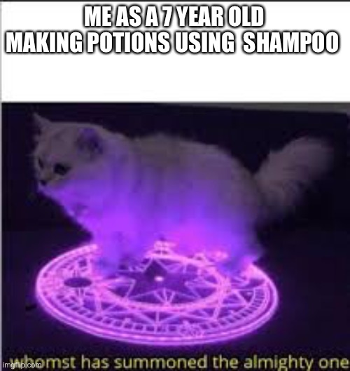 Whomst has Summoned the almighty one | ME AS A 7 YEAR OLD MAKING POTIONS USING  SHAMPOO | image tagged in whomst has summoned the almighty one | made w/ Imgflip meme maker
