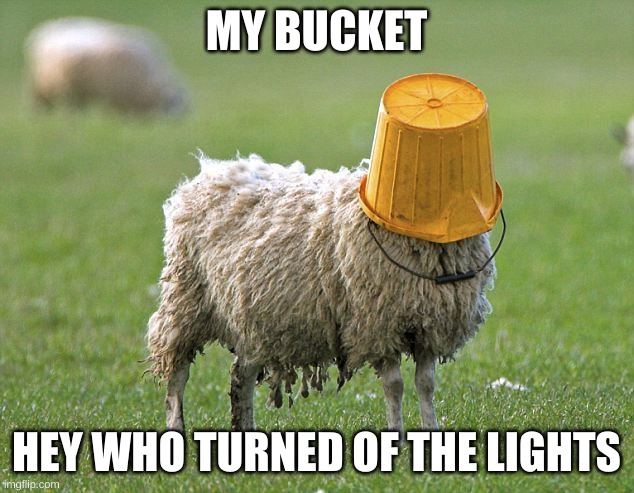 stupid sheep | MY BUCKET; HEY WHO TURNED OF THE LIGHTS | image tagged in stupid sheep | made w/ Imgflip meme maker