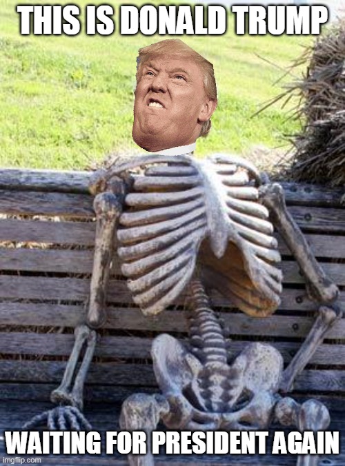 .......dont kill me for this trumpies | THIS IS DONALD TRUMP; WAITING FOR PRESIDENT AGAIN | image tagged in memes,waiting skeleton | made w/ Imgflip meme maker