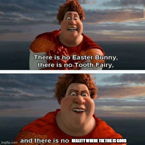 It. Is. Trash. | REALITY WHERE TIK TOK IS GOOD | image tagged in tighten megamind there is no easter bunny,tik tok | made w/ Imgflip meme maker
