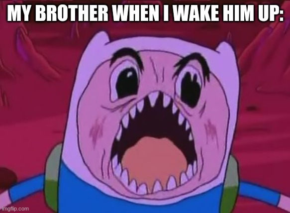 truth |  MY BROTHER WHEN I WAKE HIM UP: | image tagged in memes,finn the human | made w/ Imgflip meme maker