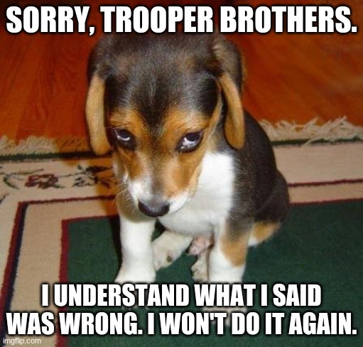 sorry | SORRY, TROOPER BROTHERS. I UNDERSTAND WHAT I SAID WAS WRONG. I WON'T DO IT AGAIN. | image tagged in sorry | made w/ Imgflip meme maker