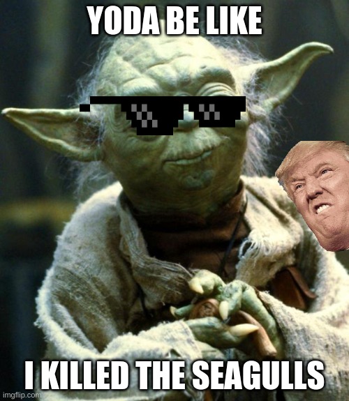 Star Wars Yoda | YODA BE LIKE; I KILLED THE SEAGULLS | image tagged in memes,star wars yoda | made w/ Imgflip meme maker