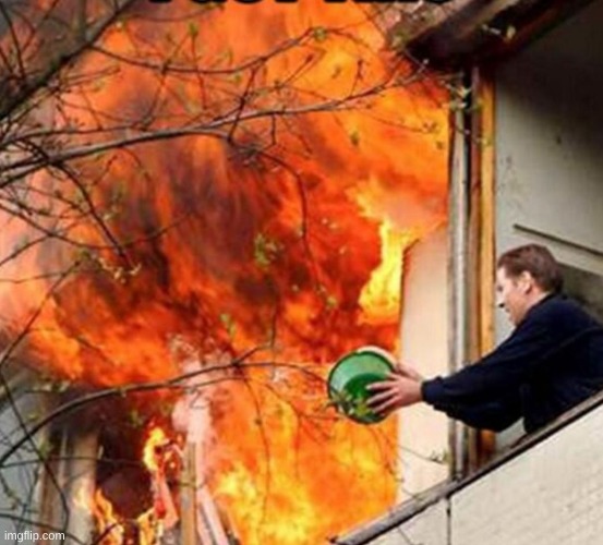 Futile Effort Frank | image tagged in futile effort frank | made w/ Imgflip meme maker