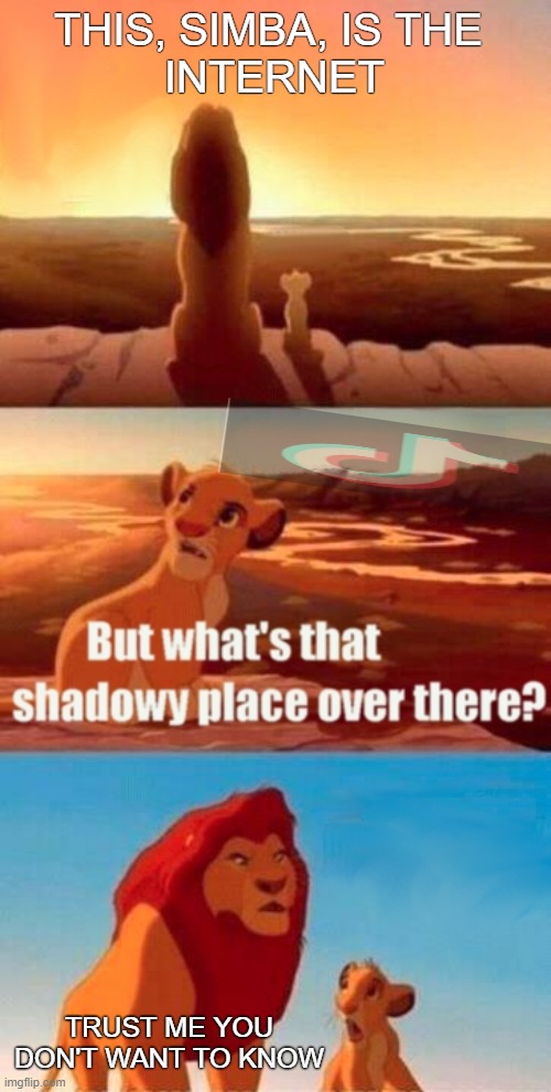 No don't go there Simba | THIS, SIMBA, IS THE 
INTERNET; TRUST ME YOU DON'T WANT TO KNOW | image tagged in memes,simba shadowy place | made w/ Imgflip meme maker