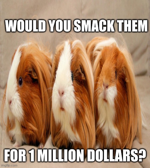 Would you smack them? | WOULD YOU SMACK THEM; FOR 1 MILLION DOLLARS? | image tagged in memes | made w/ Imgflip meme maker