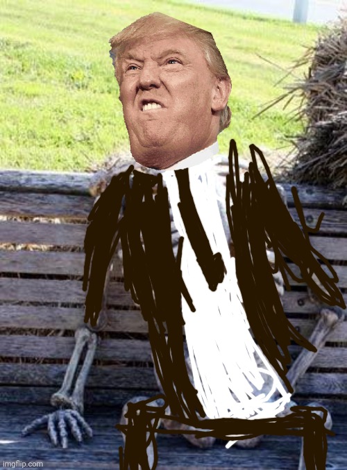 Donalds hands are bones | image tagged in memes,waiting skeleton | made w/ Imgflip meme maker