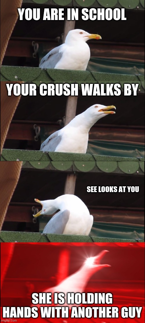 Inhaling Seagull Meme | YOU ARE IN SCHOOL; YOUR CRUSH WALKS BY; SEE LOOKS AT YOU; SHE IS HOLDING HANDS WITH ANOTHER GUY | image tagged in memes,inhaling seagull | made w/ Imgflip meme maker