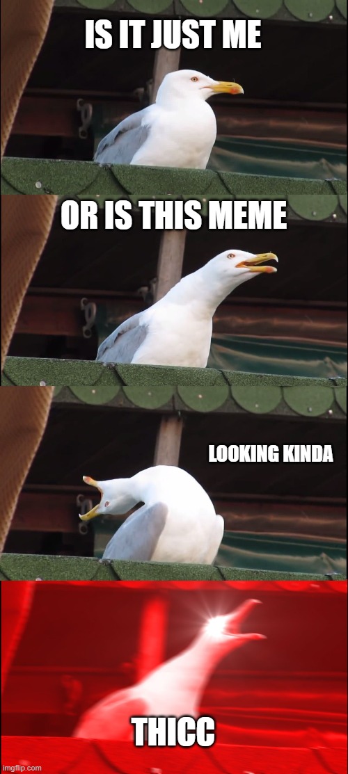 Yes Seagull | IS IT JUST ME; OR IS THIS MEME; LOOKING KINDA; THICC | image tagged in memes,inhaling seagull,funni | made w/ Imgflip meme maker