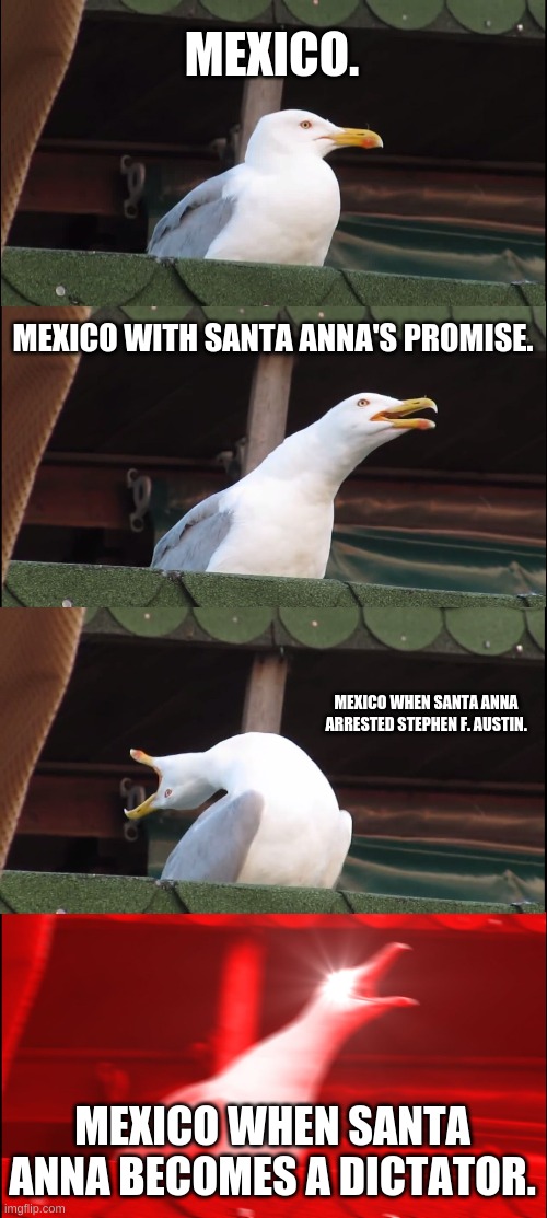 Santa Anna Becomes Dictator | MEXICO. MEXICO WITH SANTA ANNA'S PROMISE. MEXICO WHEN SANTA ANNA ARRESTED STEPHEN F. AUSTIN. MEXICO WHEN SANTA ANNA BECOMES A DICTATOR. | image tagged in memes,inhaling seagull | made w/ Imgflip meme maker