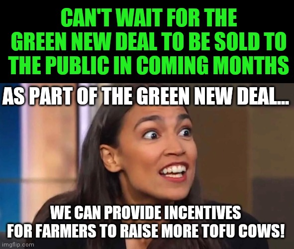 Warning, stupid ideas ahead... | CAN'T WAIT FOR THE GREEN NEW DEAL TO BE SOLD TO THE PUBLIC IN COMING MONTHS; AS PART OF THE GREEN NEW DEAL... WE CAN PROVIDE INCENTIVES FOR FARMERS TO RAISE MORE TOFU COWS! | image tagged in crazy aoc,green,politically incorrect | made w/ Imgflip meme maker