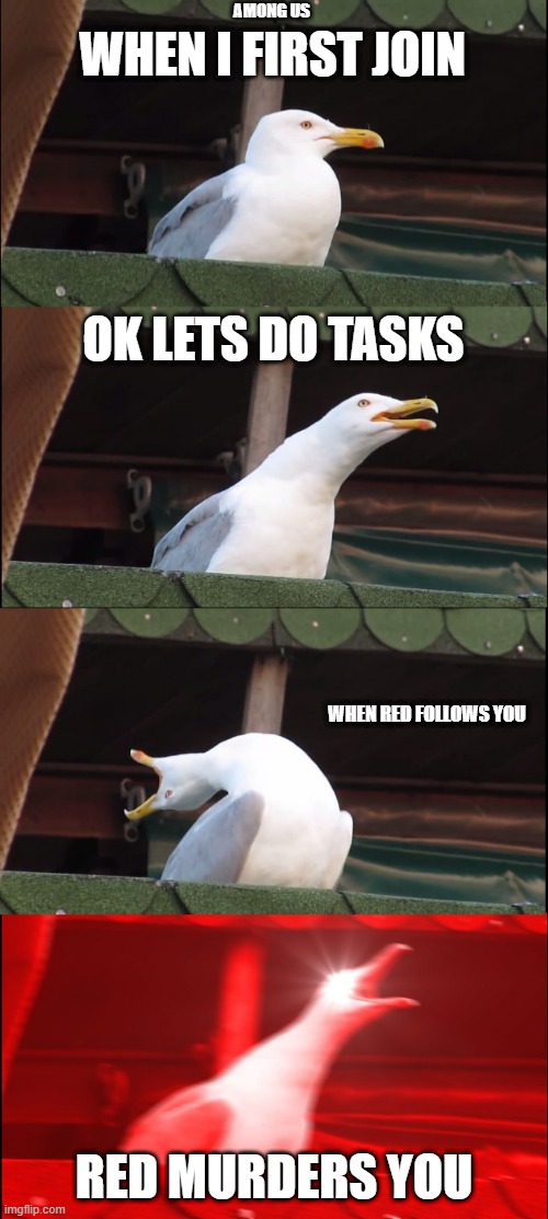 Inhaling Seagull Meme | AMONG US; WHEN I FIRST JOIN; OK LETS DO TASKS; WHEN RED FOLLOWS YOU; RED MURDERS YOU | image tagged in memes,inhaling seagull | made w/ Imgflip meme maker