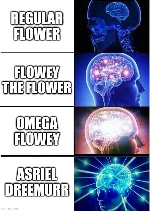 Flowey the Flower | REGULAR FLOWER; FLOWEY THE FLOWER; OMEGA FLOWEY; ASRIEL DREEMURR | image tagged in memes,expanding brain | made w/ Imgflip meme maker