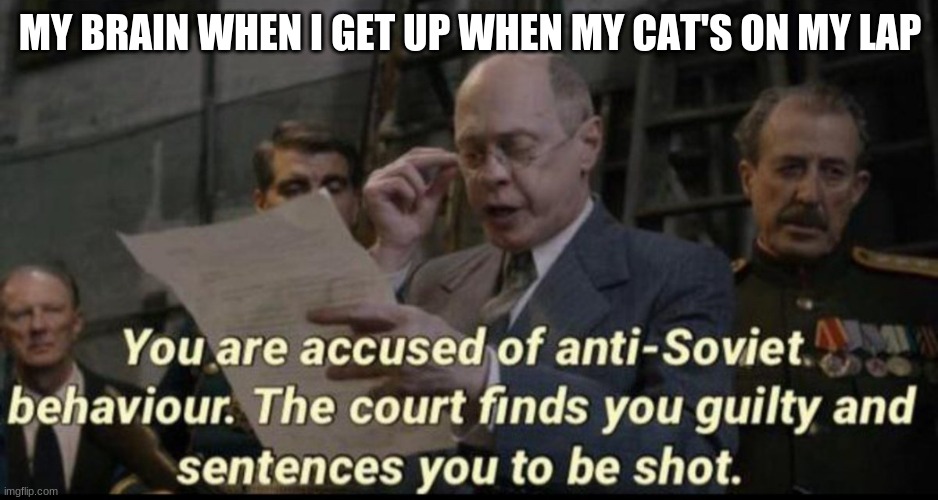 i'm making this while m cat is on my lap | MY BRAIN WHEN I GET UP WHEN MY CAT'S ON MY LAP | image tagged in you are accused of anti-soviet behavior | made w/ Imgflip meme maker