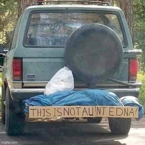When it's your aunt Esther and not your aunt Edna | image tagged in oh wow are you actually reading these tags,unnecessary tags,memes | made w/ Imgflip meme maker