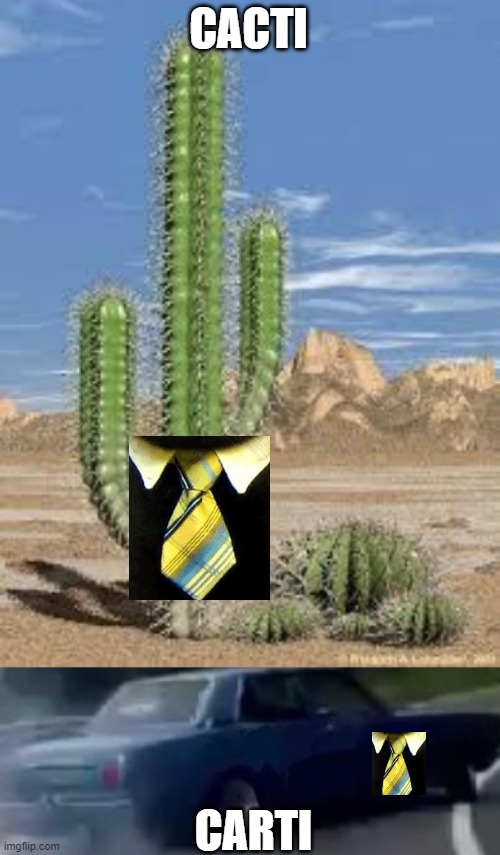 This is Plural | CACTI; CARTI | image tagged in cactus,memes,left exit 12 off ramp | made w/ Imgflip meme maker