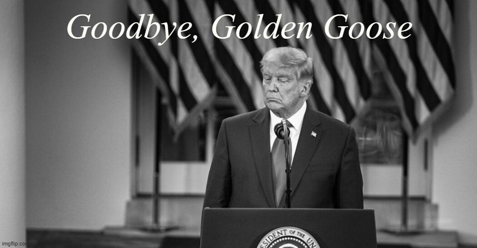 Let it go, Donnie. Time to say goodbye. | Goodbye, Golden Goose | image tagged in donald trump black white,donald trump,trump is an asshole,trump is a moron,black and white,election 2020 | made w/ Imgflip meme maker
