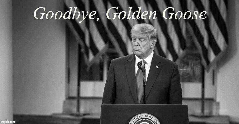 Goodbye, ye Golden Goose of FOX News. | image tagged in fox news,trump is a moron,trump is an asshole,election 2020,2020 elections,black and white | made w/ Imgflip meme maker