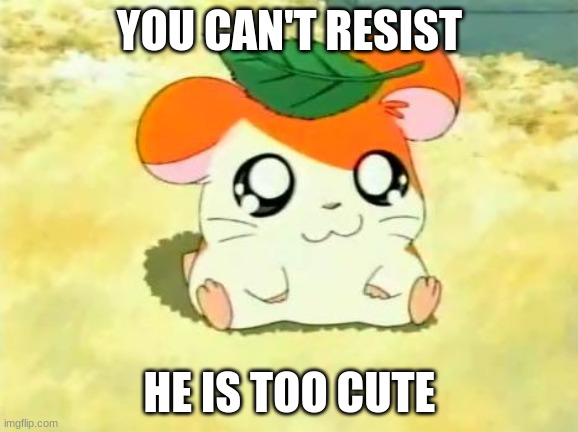 CUTE | YOU CAN'T RESIST; HE IS TOO CUTE | image tagged in memes,hamtaro | made w/ Imgflip meme maker