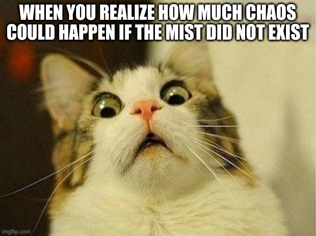 Oh no | WHEN YOU REALIZE HOW MUCH CHAOS COULD HAPPEN IF THE MIST DID NOT EXIST | image tagged in memes,scared cat | made w/ Imgflip meme maker