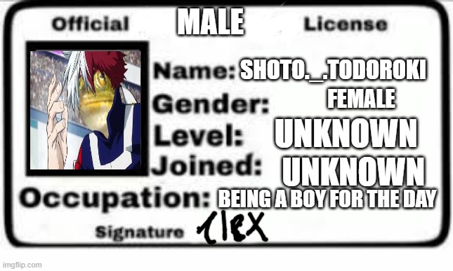 MALE SHOTO._.TODOROKI FEMALE UNKNOWN UNKNOWN BEING A BOY FOR THE DAY | made w/ Imgflip meme maker