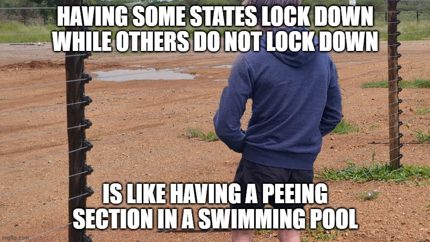 Urine charge | HAVING SOME STATES LOCK DOWN WHILE OTHERS DO NOT LOCK DOWN; IS LIKE HAVING A PEEING SECTION IN A SWIMMING POOL | image tagged in urine charge | made w/ Imgflip meme maker