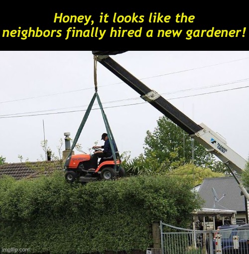 Overgrown Hedges | Honey, it looks like the neighbors finally hired a new gardener! | image tagged in funny memes,neighbors,mowing the hedges | made w/ Imgflip meme maker
