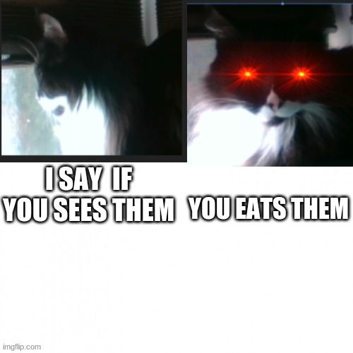 Sees = Eats | I SAY  IF YOU SEES THEM; YOU EATS THEM | image tagged in rocko | made w/ Imgflip meme maker