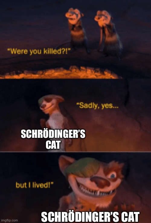 Schrödinger’s cat be like | SCHRÖDINGER’S CAT; SCHRÖDINGER’S CAT | image tagged in were you killed | made w/ Imgflip meme maker