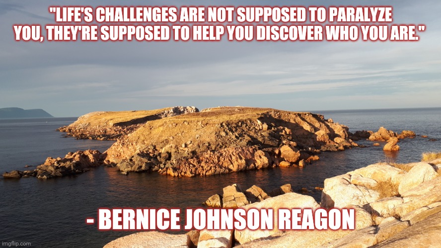 Personal growth quote | "LIFE'S CHALLENGES ARE NOT SUPPOSED TO PARALYZE YOU, THEY'RE SUPPOSED TO HELP YOU DISCOVER WHO YOU ARE."; - BERNICE JOHNSON REAGON | image tagged in memes | made w/ Imgflip meme maker