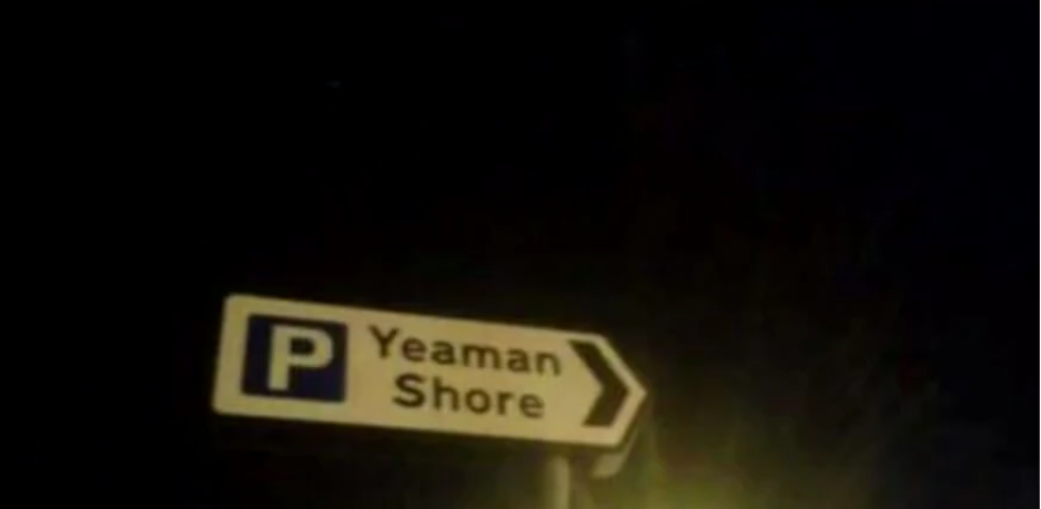 High Quality Yeaman Shore Blank Meme Template