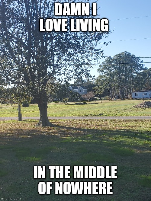 My backyard | DAMN I LOVE LIVING; IN THE MIDDLE OF NOWHERE | image tagged in nothing | made w/ Imgflip meme maker