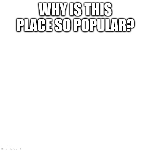 I found the site and this is like the first stream I saw | WHY IS THIS PLACE SO POPULAR? | image tagged in memes,blank transparent square | made w/ Imgflip meme maker