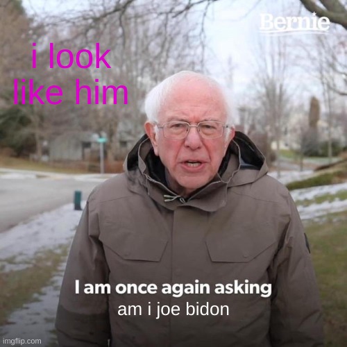 Bernie I Am Once Again Asking For Your Support | i look like him; am i joe bidon | image tagged in memes,bernie i am once again asking for your support | made w/ Imgflip meme maker
