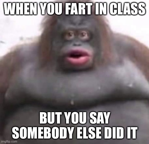 Le Monke |  WHEN YOU FART IN CLASS; BUT YOU SAY SOMEBODY ELSE DID IT | image tagged in le monke | made w/ Imgflip meme maker