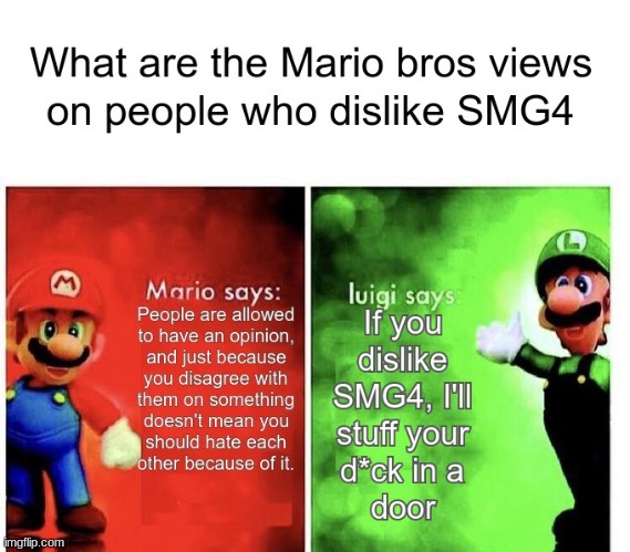 i'm on luigi's side for this one | image tagged in mario bros views | made w/ Imgflip meme maker