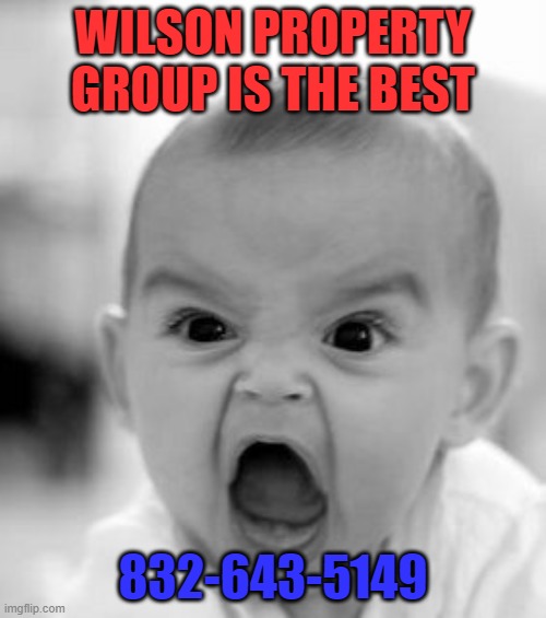 Angry Baby Meme | WILSON PROPERTY GROUP IS THE BEST; 832-643-5149 | image tagged in memes,angry baby | made w/ Imgflip meme maker