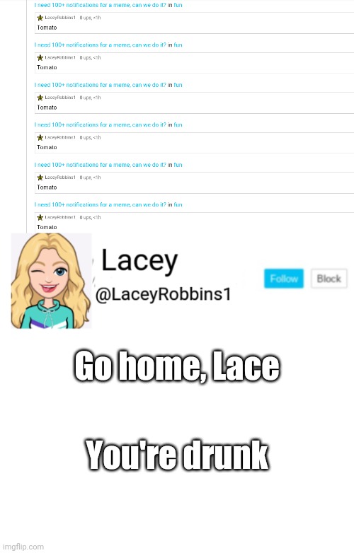 Am I Ok? | Go home, Lace; You're drunk | image tagged in lacey announcement | made w/ Imgflip meme maker