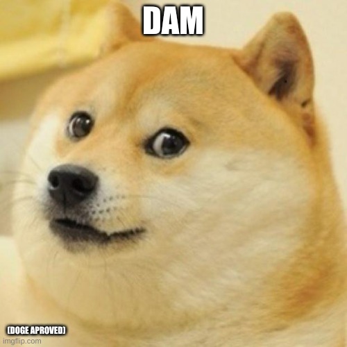 wow doge | DAM (DOGE APROVED) | image tagged in wow doge | made w/ Imgflip meme maker