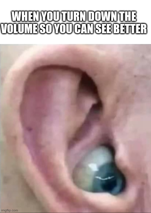 eyes and ears and mouth and nose, if you know what i mean | WHEN YOU TURN DOWN THE VOLUME SO YOU CAN SEE BETTER | image tagged in blank white template,funny,memes,funny memes,eyes,ears | made w/ Imgflip meme maker