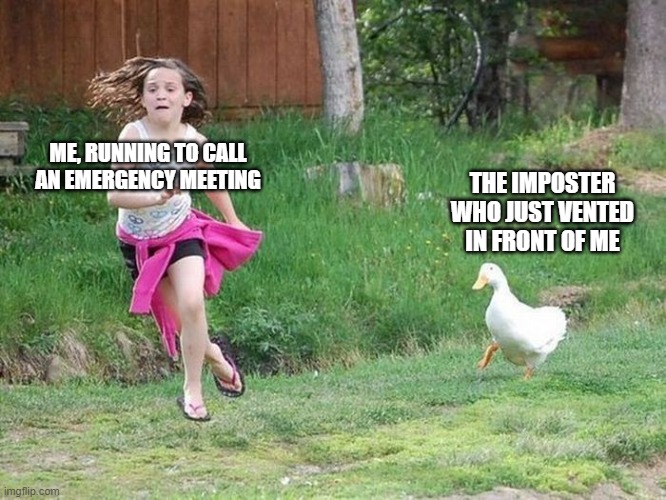 girl running from goose | THE IMPOSTER WHO JUST VENTED IN FRONT OF ME; ME, RUNNING TO CALL AN EMERGENCY MEETING | image tagged in girl running from goose,imposter,among us,vent,emergency meeting among us | made w/ Imgflip meme maker